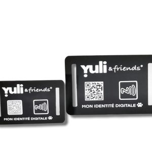 Plaque Yuli and friends