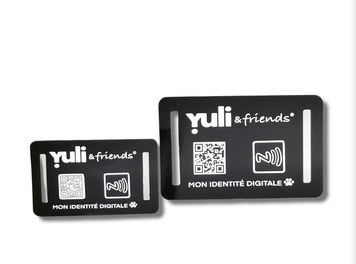 Plaque Yuli and friends