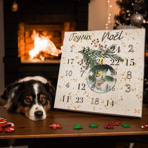 Calendrier de l'Avent pour Chien – 24 Délices à découvrir pour un Noël tout en gourmandise !