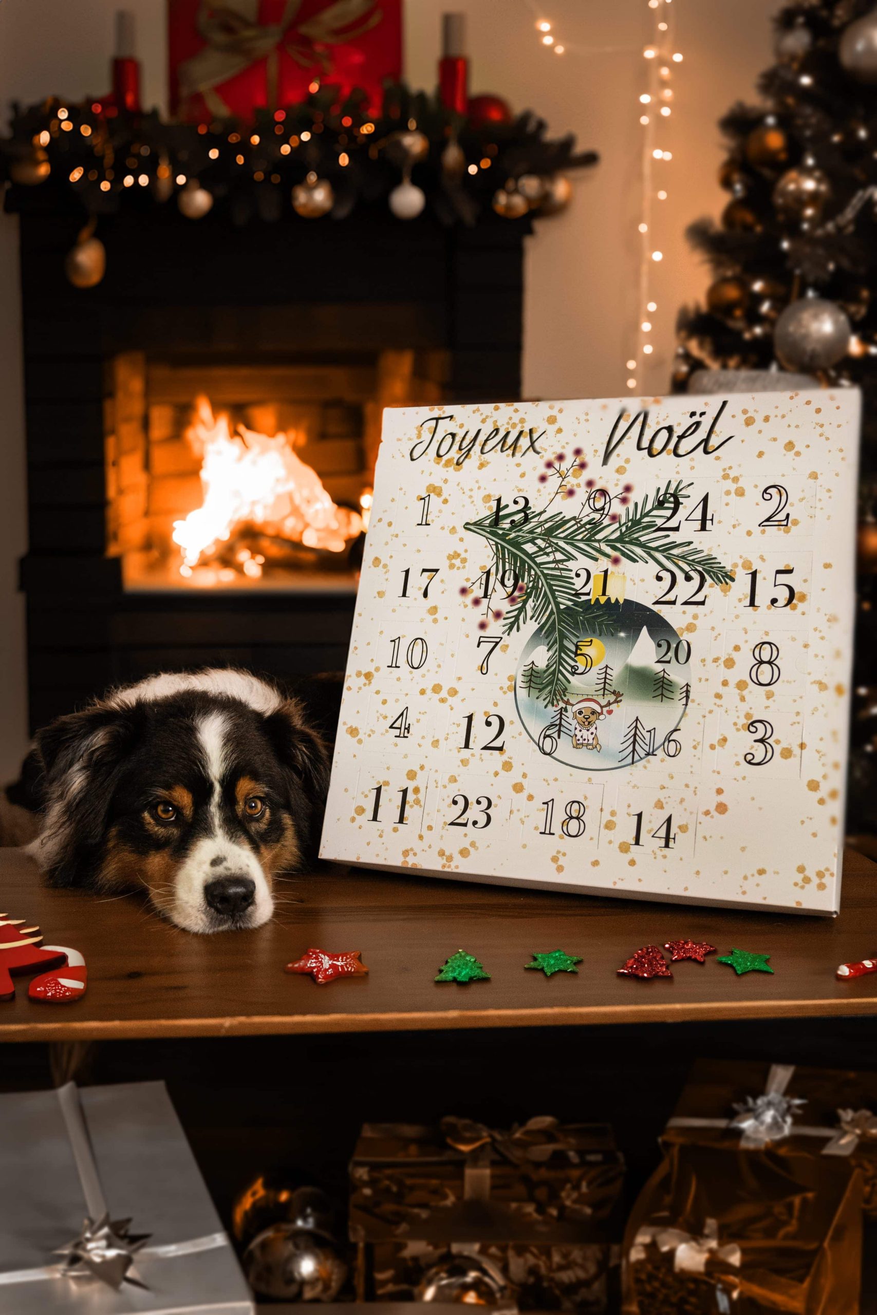 Calendrier de l'Avent pour Chien – 24 Délices à découvrir pour un Noël tout en gourmandise !