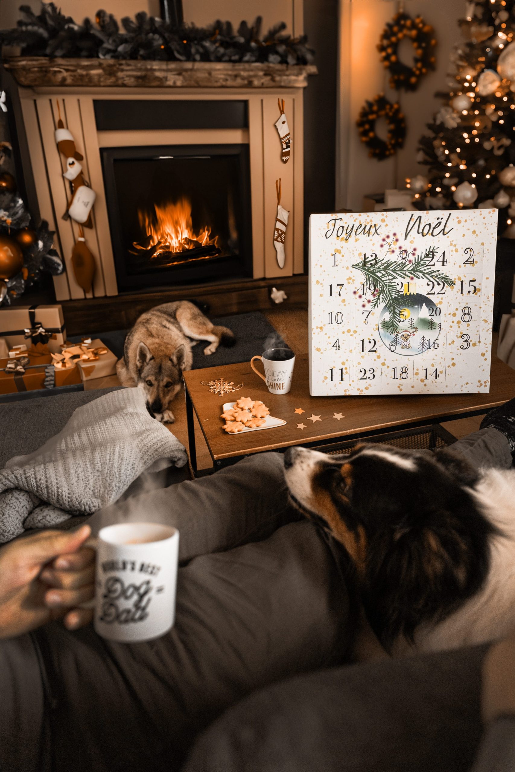 Calendrier de l'Avent pour Chien – 24 Délices à découvrir pour un Noël tout en gourmandise ! – Image 3